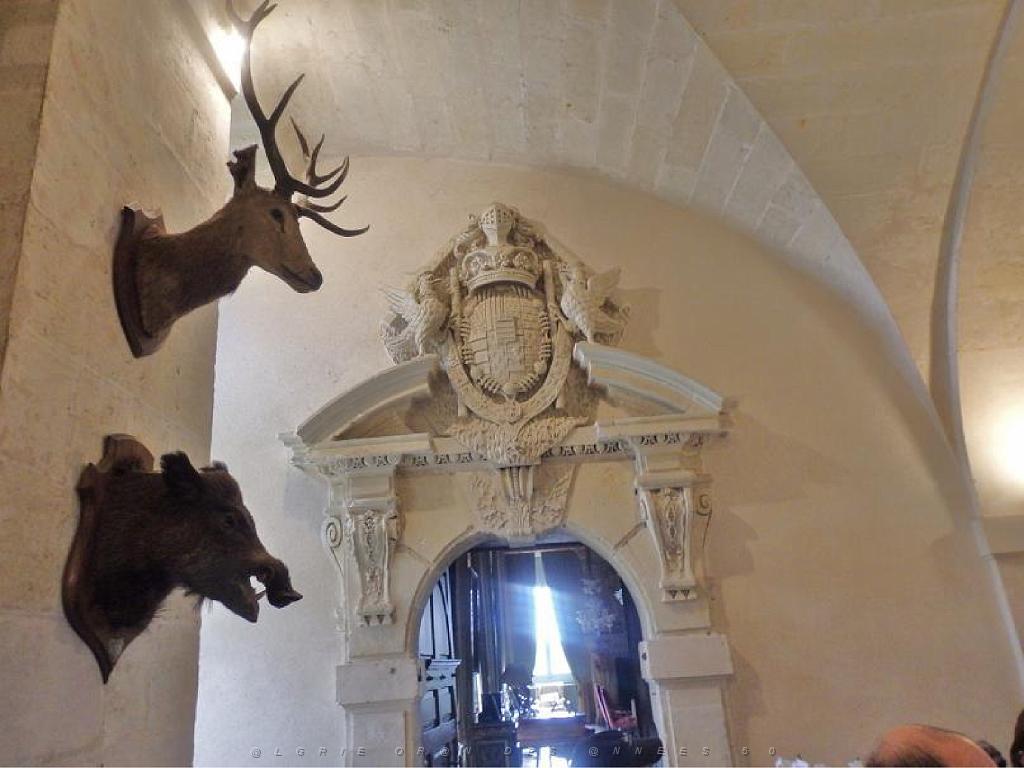 149 CHATEAU DE BRISSAC MAINE ET LOIRE 2016 N0_000019.jpg